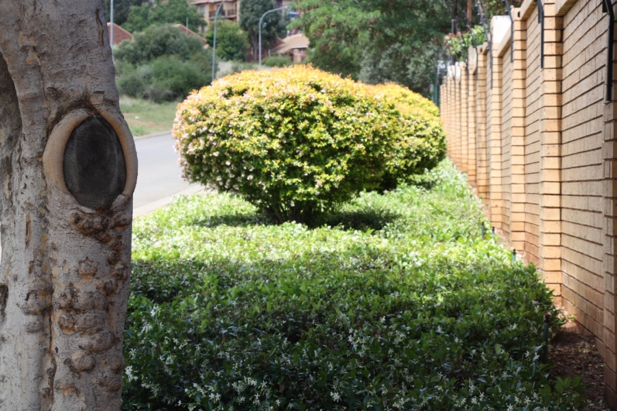 3 Bedroom Property for Sale in Langenhovenpark Free State